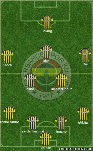 Fenerbahçe SK Formation 2011