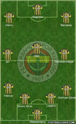 Fenerbahçe SK Formation 2011