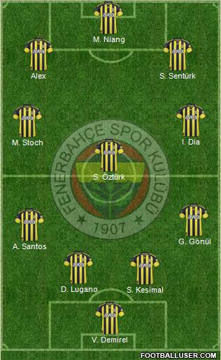 Fenerbahçe SK Formation 2011