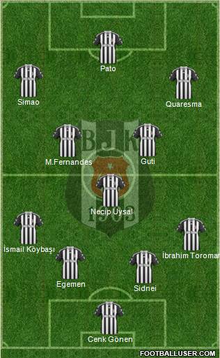 Besiktas JK Formation 2011