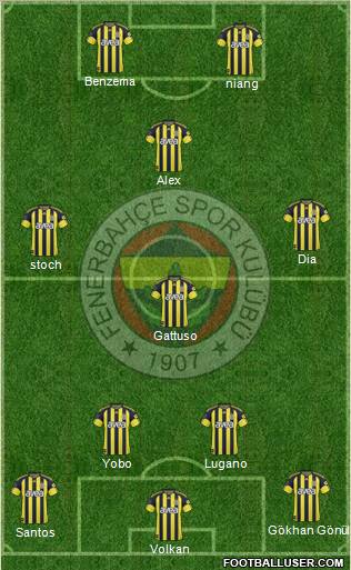 Fenerbahçe SK Formation 2011