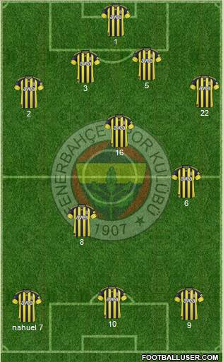 Fenerbahçe SK Formation 2011