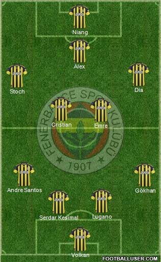 Fenerbahçe SK Formation 2011