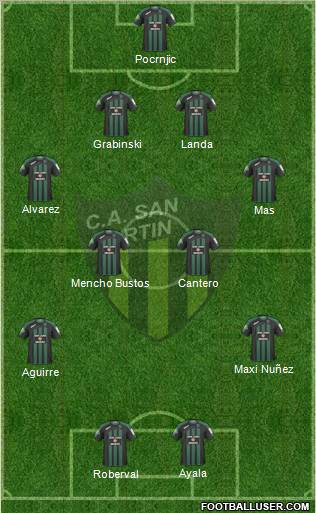 San Martín de San Juan Formation 2011