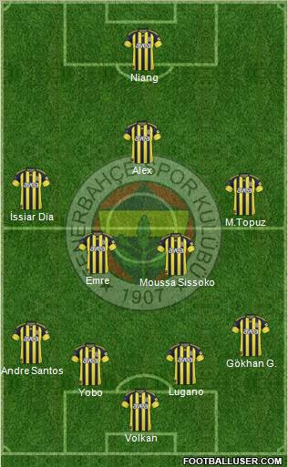Fenerbahçe SK Formation 2011