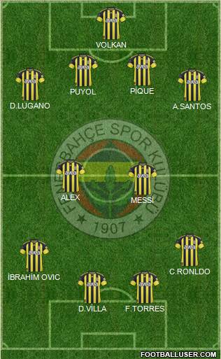 Fenerbahçe SK Formation 2011