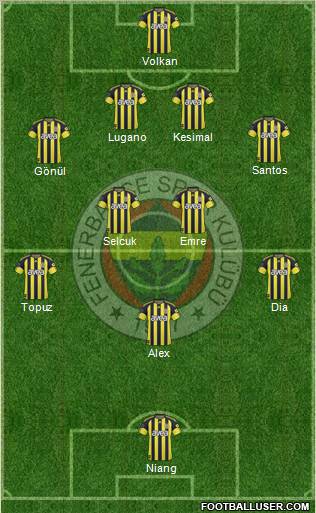 Fenerbahçe SK Formation 2011