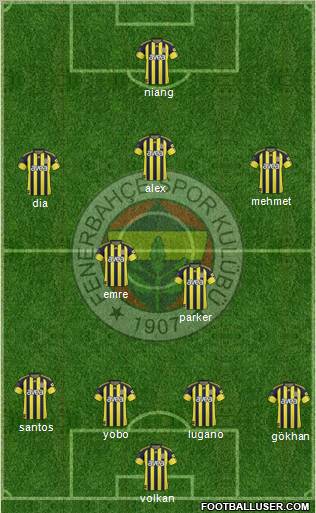 Fenerbahçe SK Formation 2011