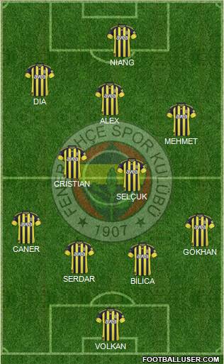 Fenerbahçe SK Formation 2011