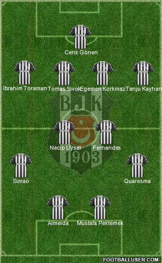 Besiktas JK Formation 2011