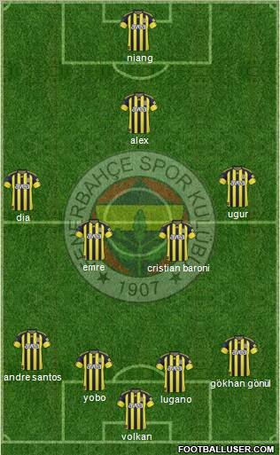 Fenerbahçe SK Formation 2011