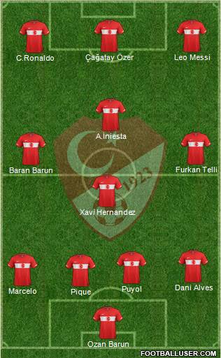 Turkey Formation 2011