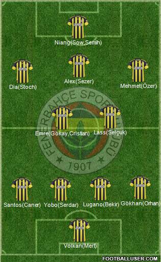 Fenerbahçe SK Formation 2011