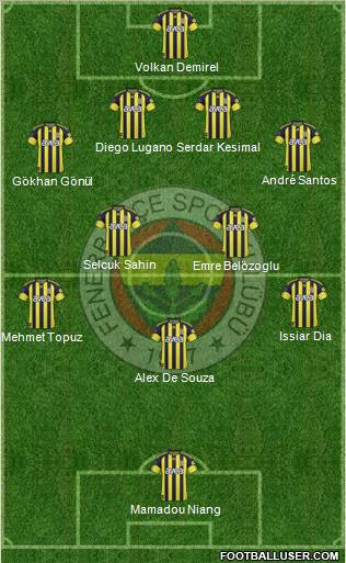 Fenerbahçe SK Formation 2011