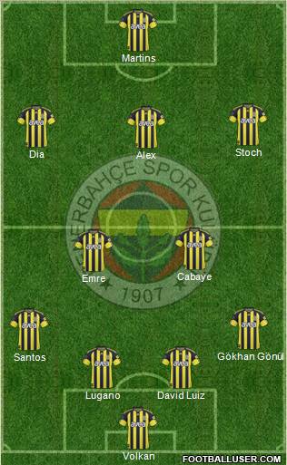 Fenerbahçe SK Formation 2011