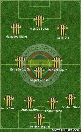 Fenerbahçe SK Formation 2011