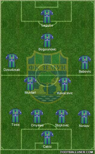 FK Zemun Formation 2011