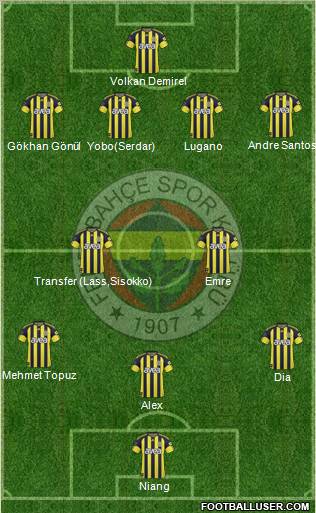Fenerbahçe SK Formation 2011