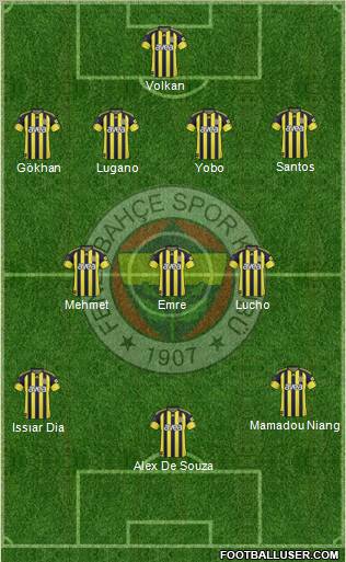 Fenerbahçe SK Formation 2011