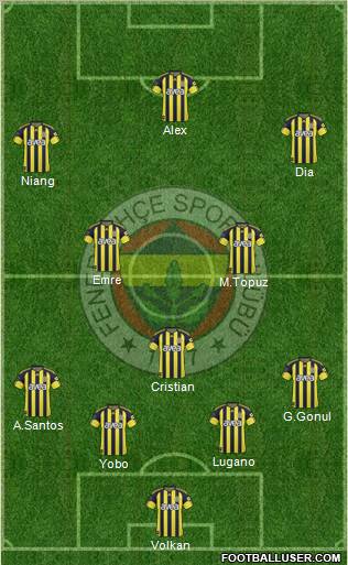 Fenerbahçe SK Formation 2011