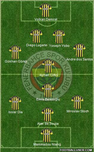 Fenerbahçe SK Formation 2011