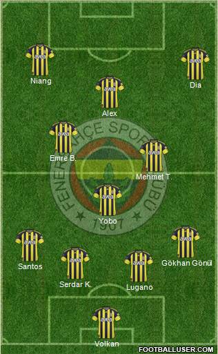 Fenerbahçe SK Formation 2011