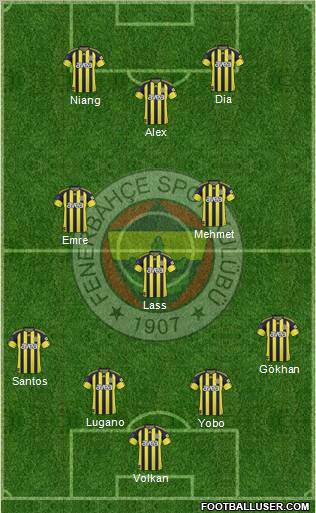Fenerbahçe SK Formation 2011