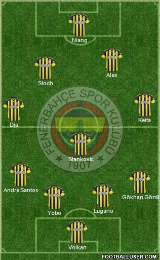 Fenerbahçe SK Formation 2011