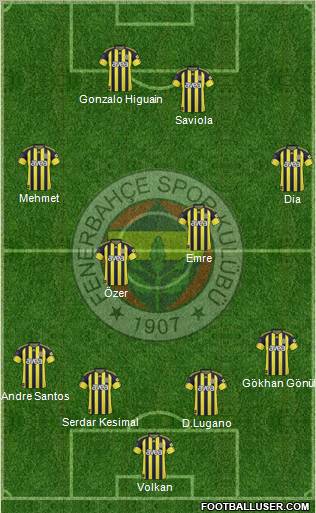 Fenerbahçe SK Formation 2011