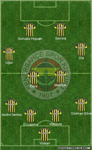 Fenerbahçe SK Formation 2011