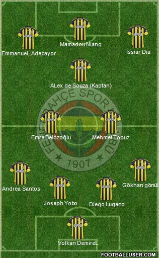 Fenerbahçe SK Formation 2011