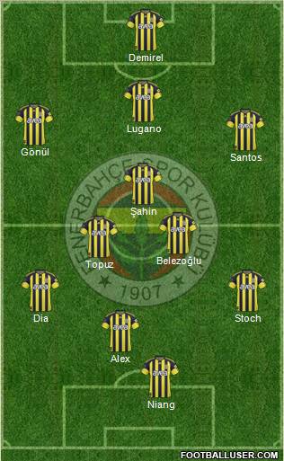Fenerbahçe SK Formation 2011
