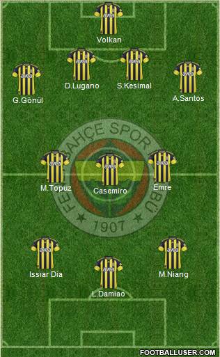 Fenerbahçe SK Formation 2011