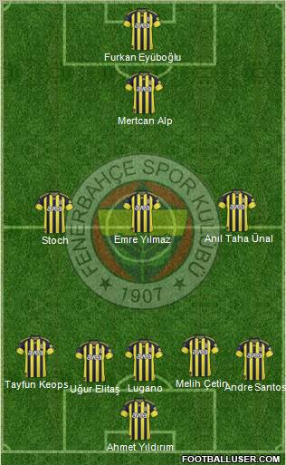 Fenerbahçe SK Formation 2011
