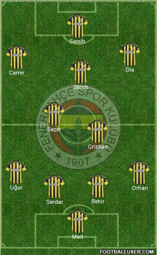Fenerbahçe SK Formation 2011