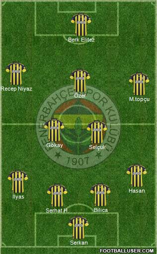 Fenerbahçe SK Formation 2011