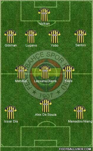 Fenerbahçe SK Formation 2011