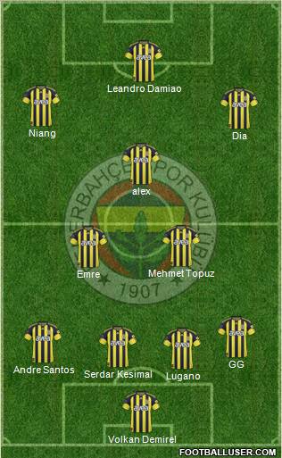 Fenerbahçe SK Formation 2011