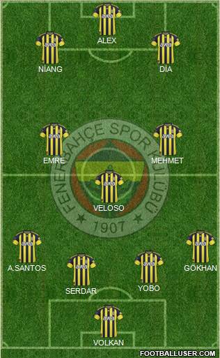 Fenerbahçe SK Formation 2011
