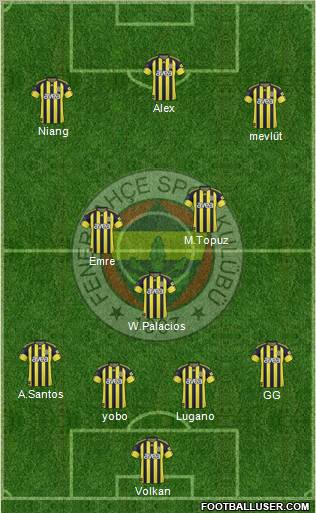 Fenerbahçe SK Formation 2011