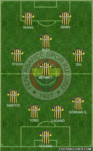 Fenerbahçe SK Formation 2011