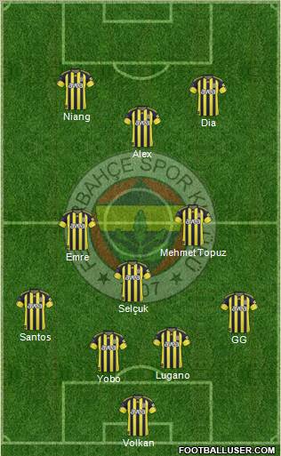 Fenerbahçe SK Formation 2011