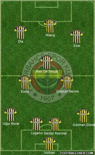 Fenerbahçe SK Formation 2011