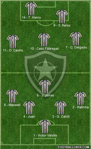 Botafogo FR Formation 2011