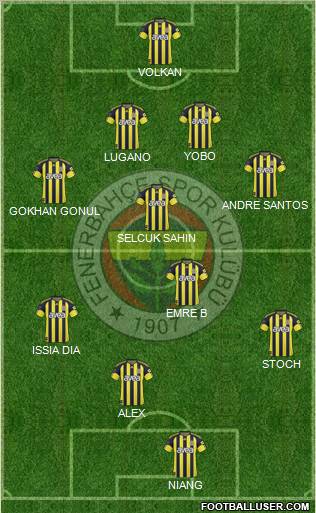Fenerbahçe SK Formation 2011