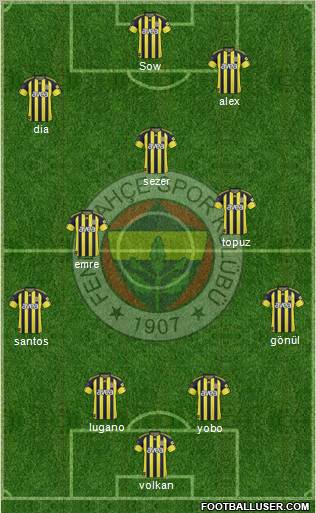 Fenerbahçe SK Formation 2011