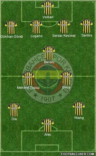 Fenerbahçe SK Formation 2011