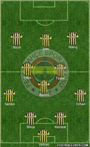 Fenerbahçe SK Formation 2011