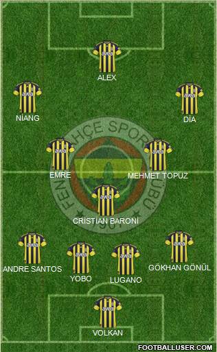 Fenerbahçe SK Formation 2011
