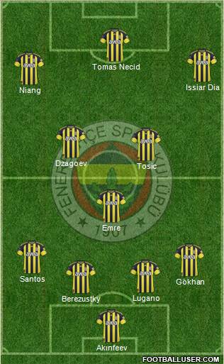 Fenerbahçe SK Formation 2011